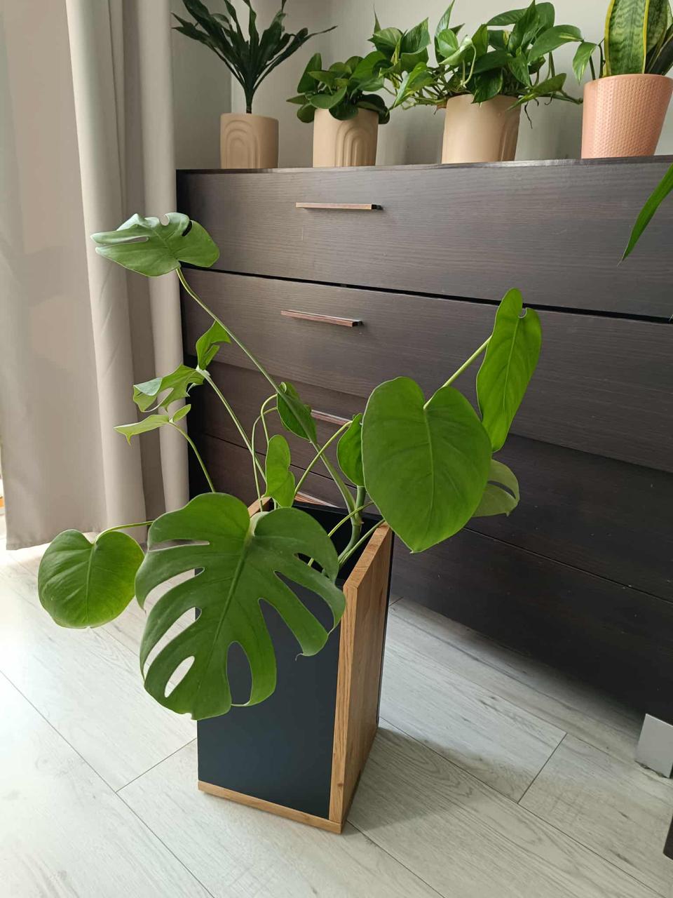 Obrazek #1 z Marek K.