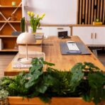 biurko regulowane z roślinami