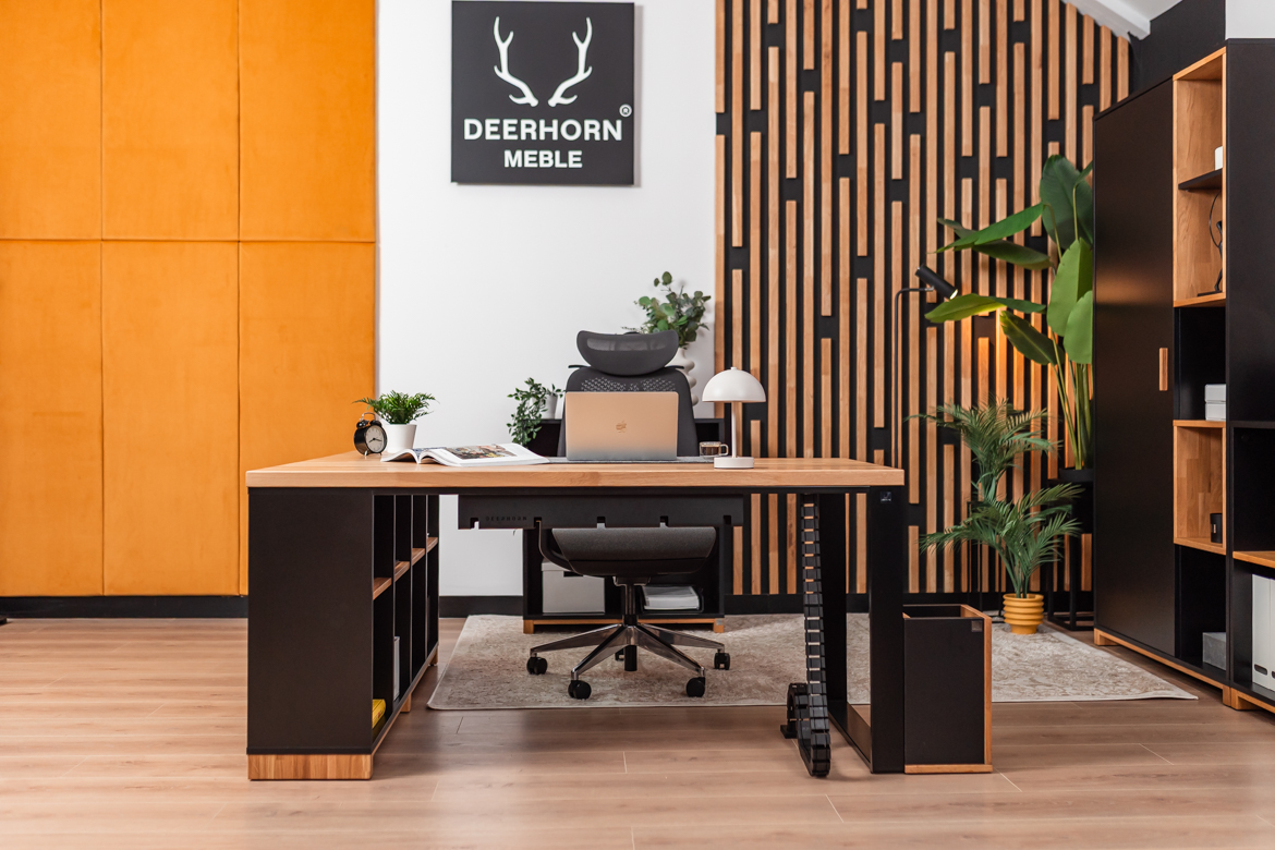 meble-gabinetowe-nowoczesne meble gabinetowe nowoczesne