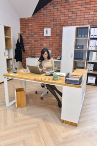 womens desk