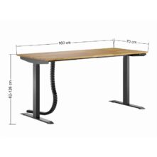 BIU-REG-LOS-CZA-160x70(2)