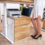 biurko regulowana wysokość elektrycznie