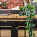 biurko z grubym, dębowym blatem