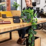 biurko z grubym blatem z drewna