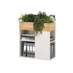 Kwietnik biurowy dąb naturalny z kością słoniową