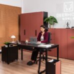 system eleganckich mebli gabinetowych