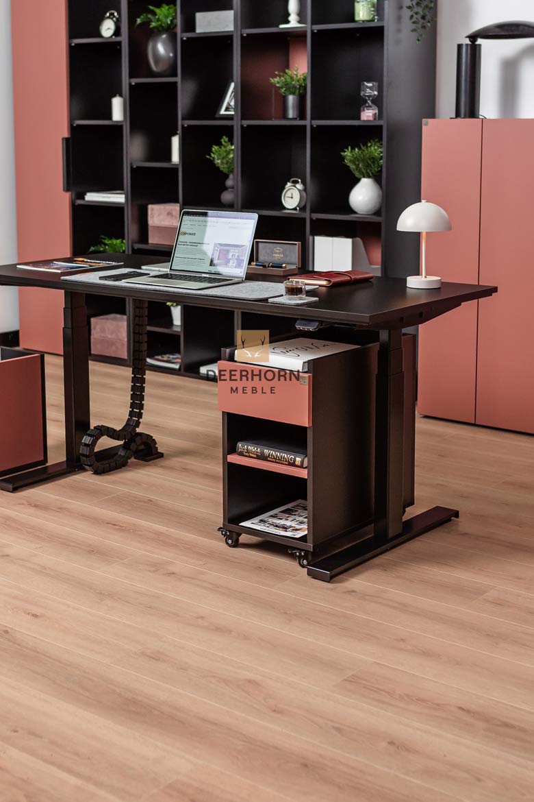 biurko-z-funkcja-sit-stand biurko z funkcją sit-stand