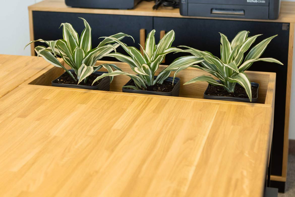 Wyposażenie siedziby Quantum Innovations Sp. z o.o. w Piotrkówku Małym