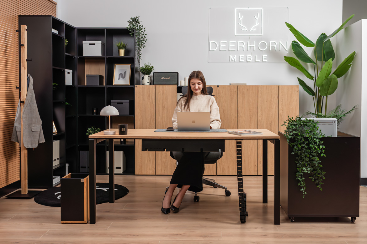 ekskluzywne meble gabinetowe do nowoczesgo biura zarządu