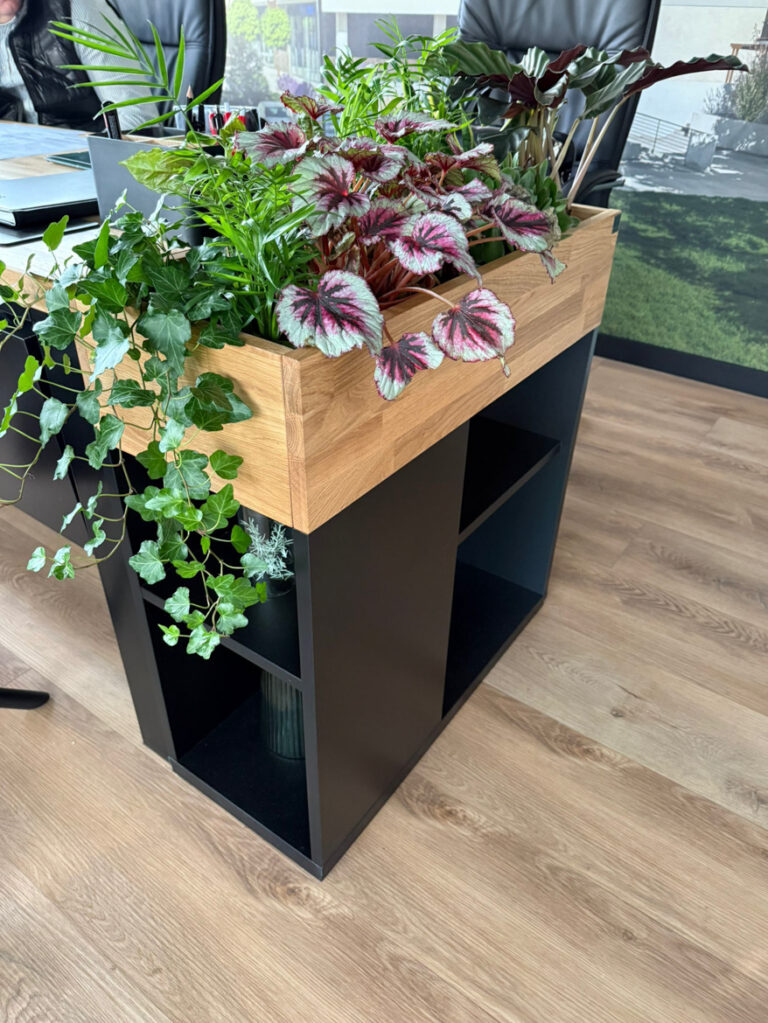 Kwietnik biurowy dla Pana Rafała z branży nieruchomości z Lublina