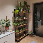 Regał na rośliny z pięcioma półkami do biura doradcy ubezpieczeniowego w Białej Podlaskiej